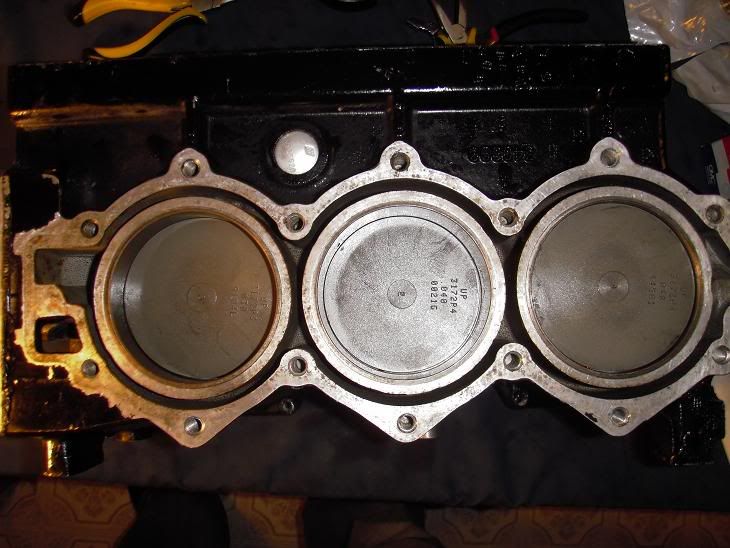 allpistonsinstalled.jpg
