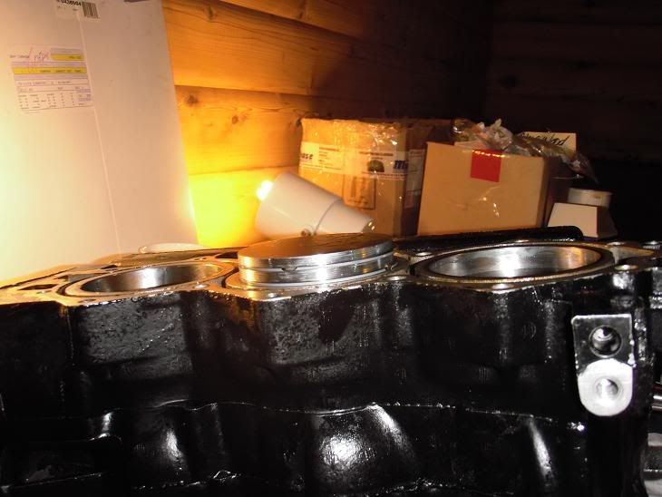 installingpistons.jpg