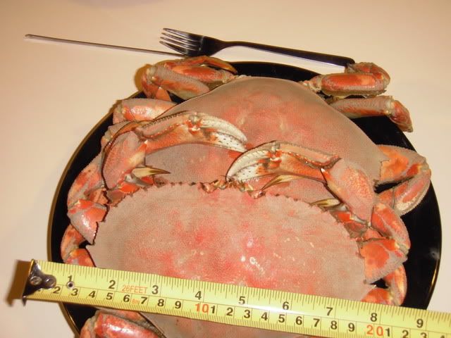043.jpg