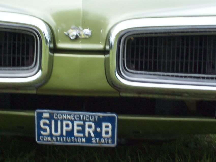 NewBee18.jpg?t=1304720632