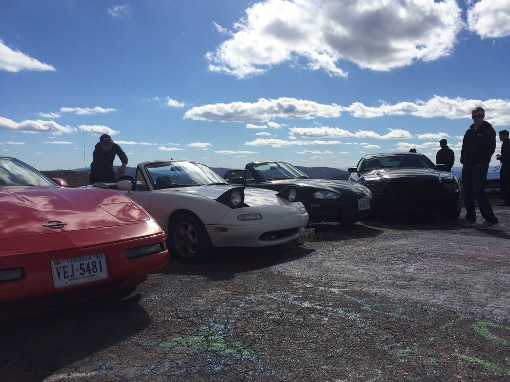 [Image: IMG_1365_zpsxsrmwudv.jpg]