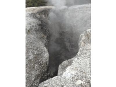 photo rotoruagif_zpscd4fbb5a.gif