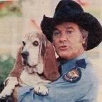 TV_Pets.jpg