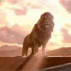 aslan.jpg