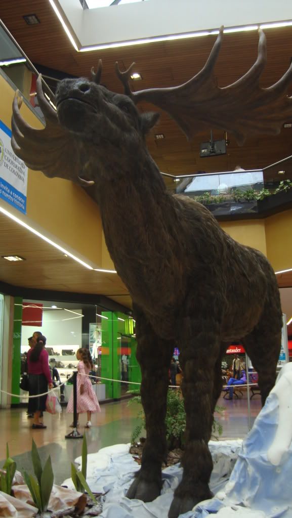 Mamut
