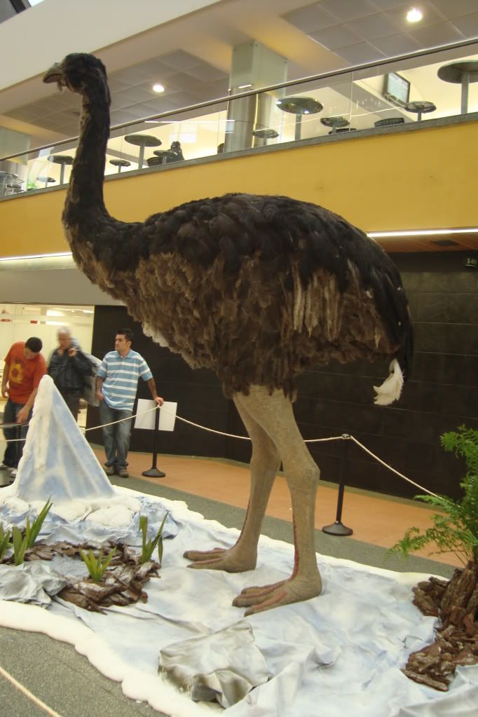 extintos