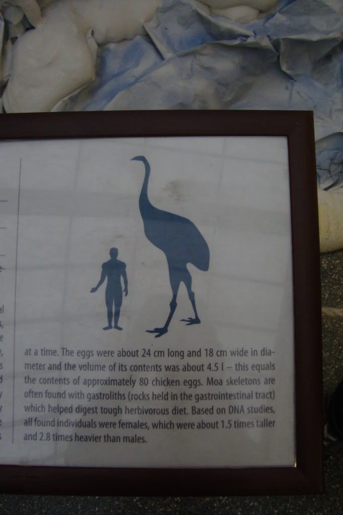 Mamut