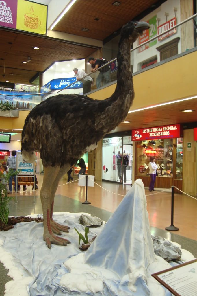 prehistorico