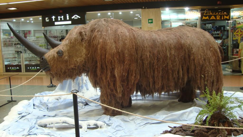 Animales