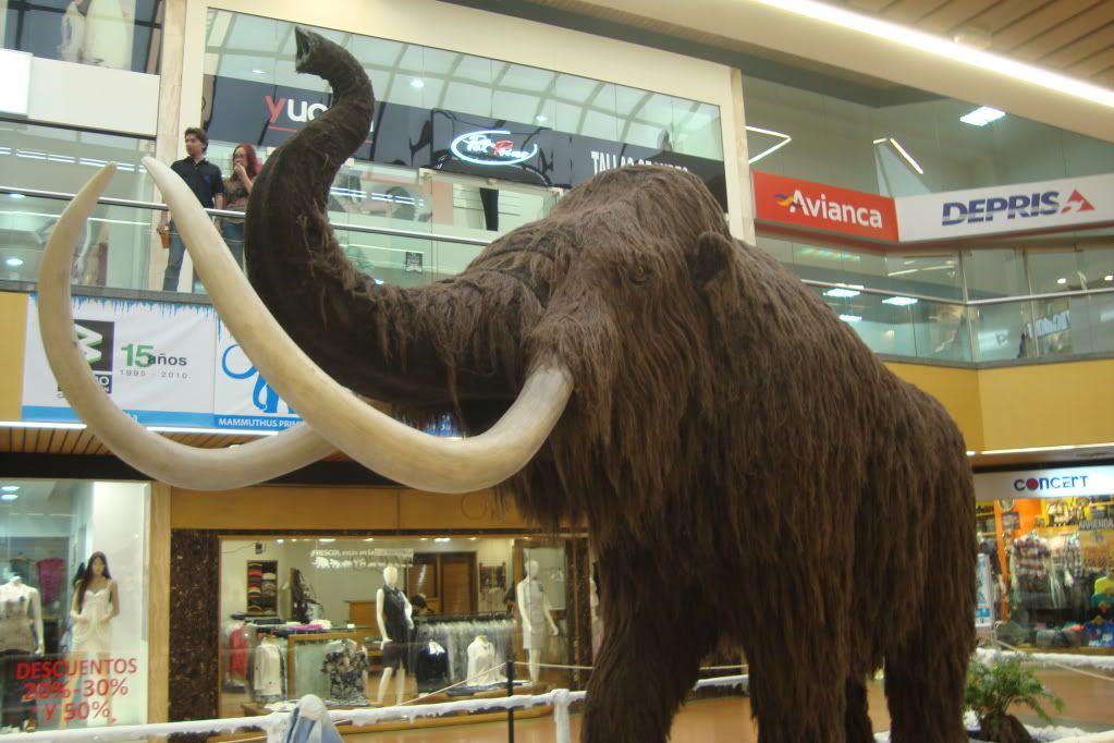 Mamut