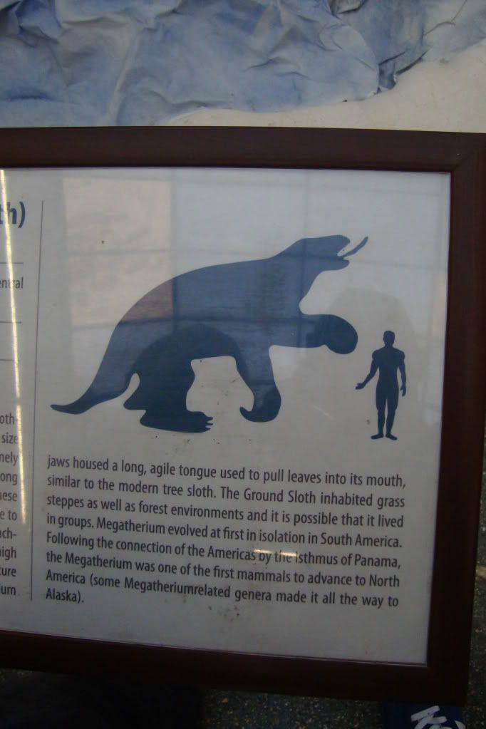 prehistorico