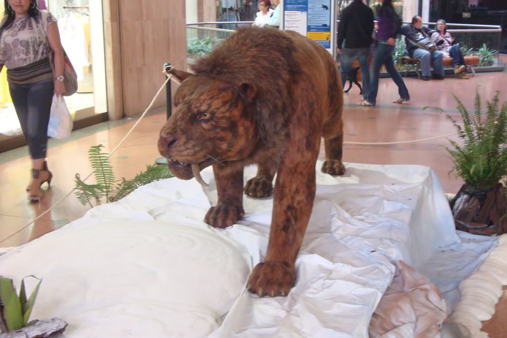 Animales
