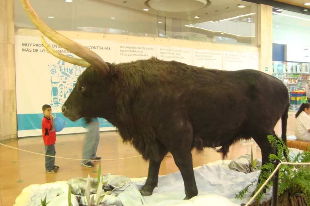 Animales