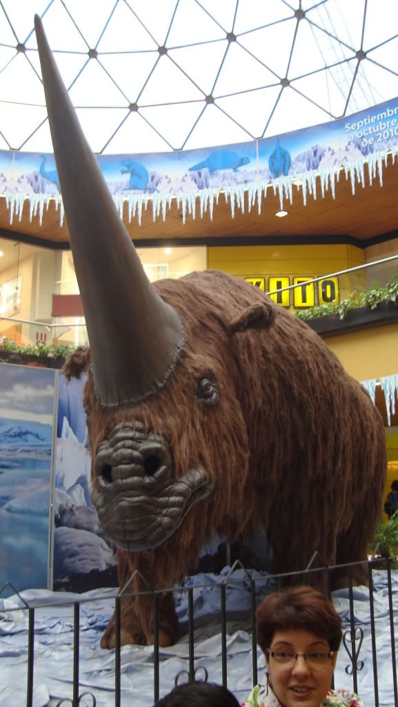 Animales