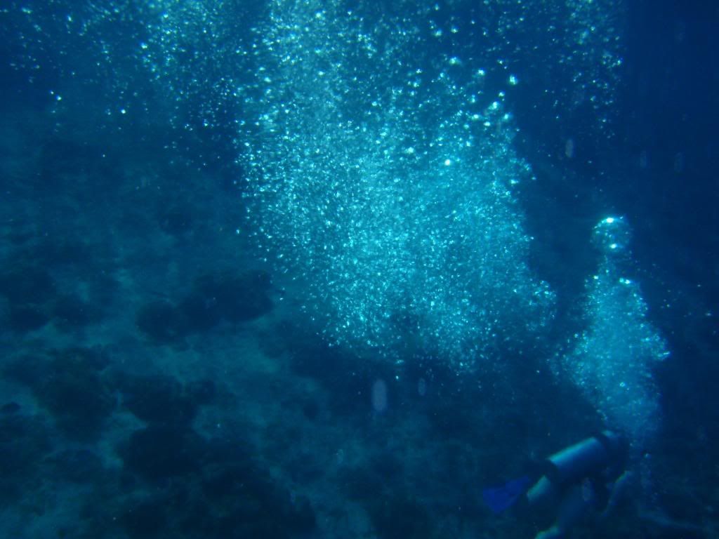 ov08373.jpg
