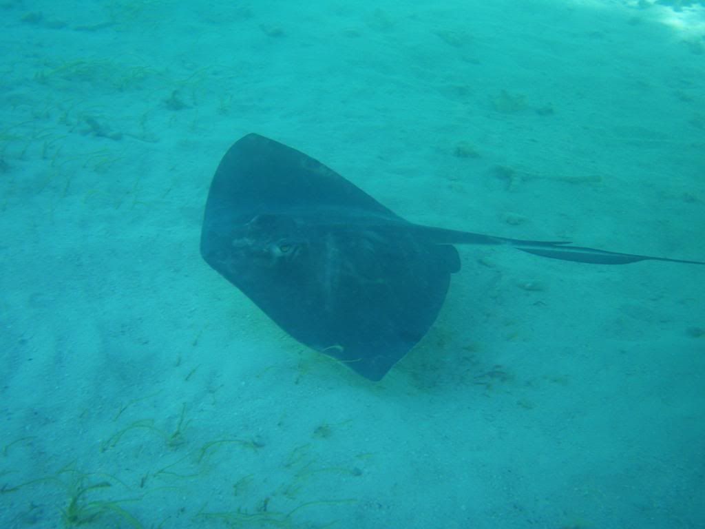 ov08535.jpg