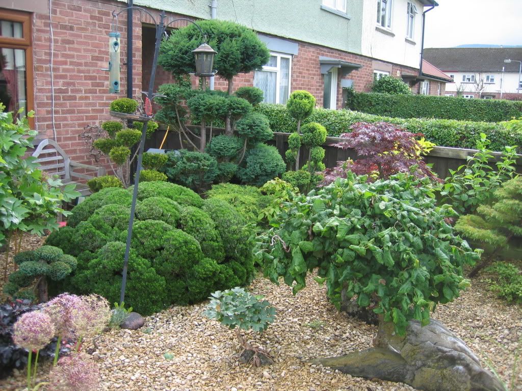 Garden trees