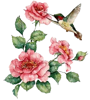 photo hummingbirdwithflowersanimated_zps721030f1.gif