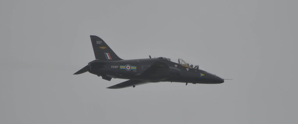 cosfordhawk21of1.jpg