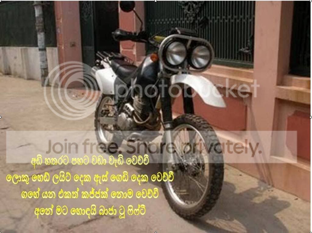 Bike2.jpg